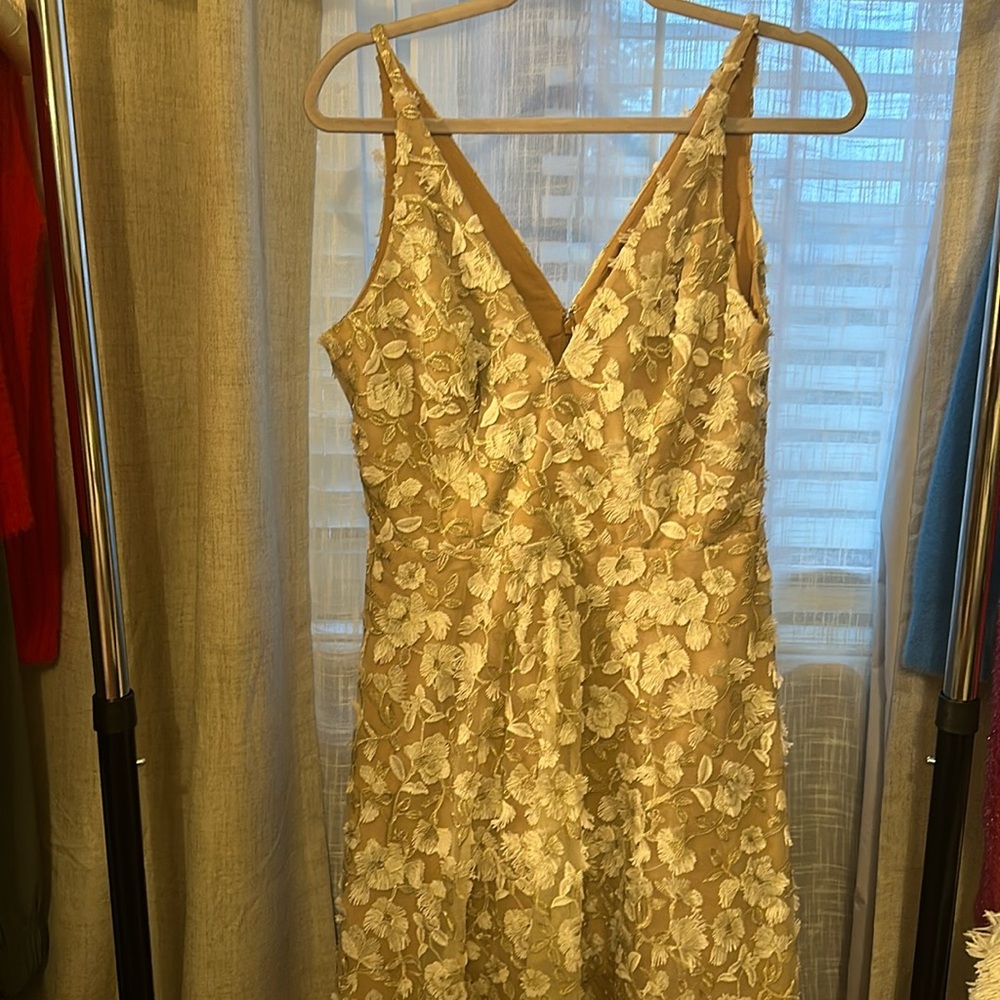 Beautiful dress